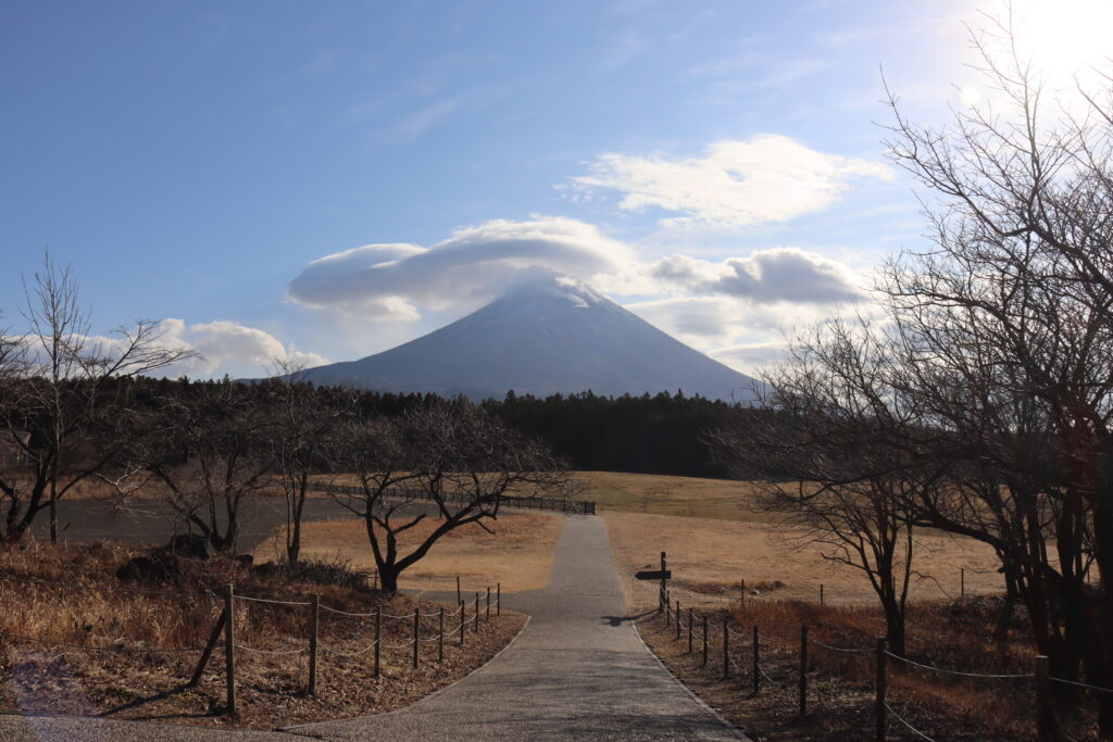 朝霧高原から見た富士山（静岡）