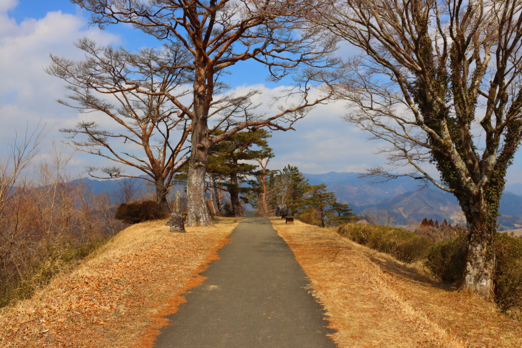 国見が丘の展望への道（宮崎）