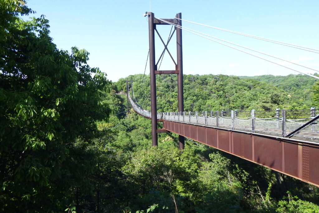 大阪星野園地のつり橋