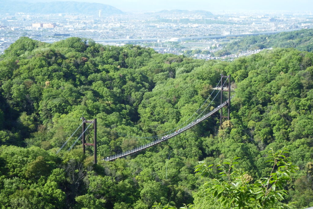 星野園地のつり橋を見下ろす（大阪）