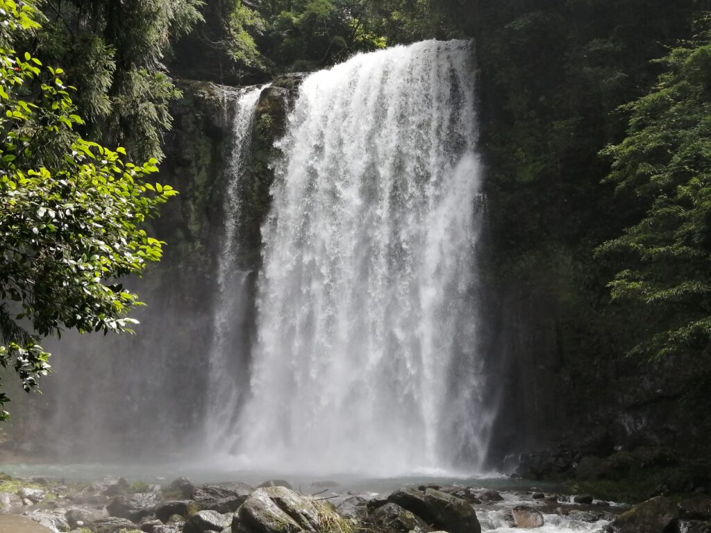 日田市の桜滝（大分）